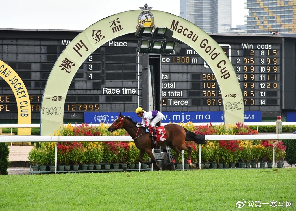 澳门今晚上开的特马,仿真技术实现_AR版44.673