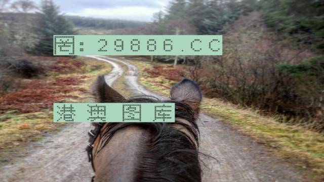 2024年香港跑狗图资料,目前现象解析描述_KPE55.353多维版