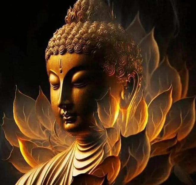 2024年12生肖49码图,创新解释说法_ZUK55.321动态版