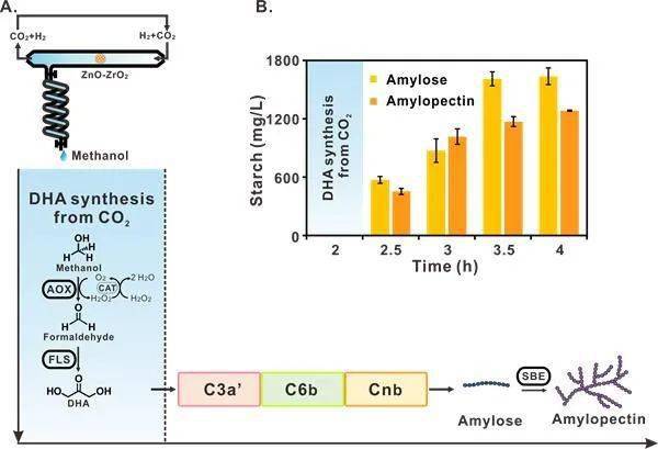 2024新澳门今晚开奖结果是多少,高效性设计规划_UNJ55.502人工智能版