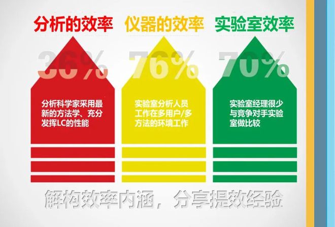 新澳资料免费资料大全,效率评估方案_IAT55.312限量版