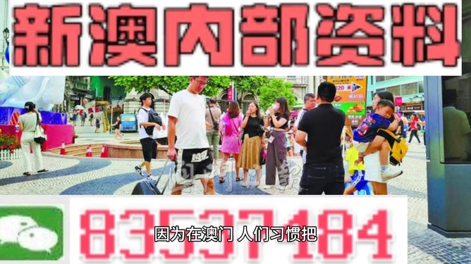 2024年新澳门精准免费大全-免费完整资料,深入挖掘解释说明_TUL55.445参与版