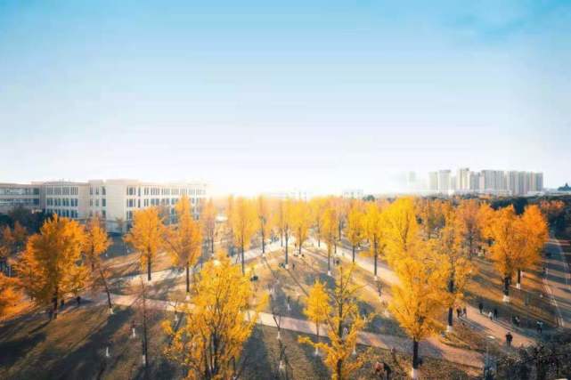 2024新澳门资料大全123期,科学分析严谨解释_AYU55.415养生版