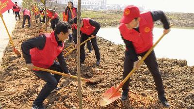 福清市最新道路规划图,福清市最新道路规划图,塑造城市脉络的新篇章