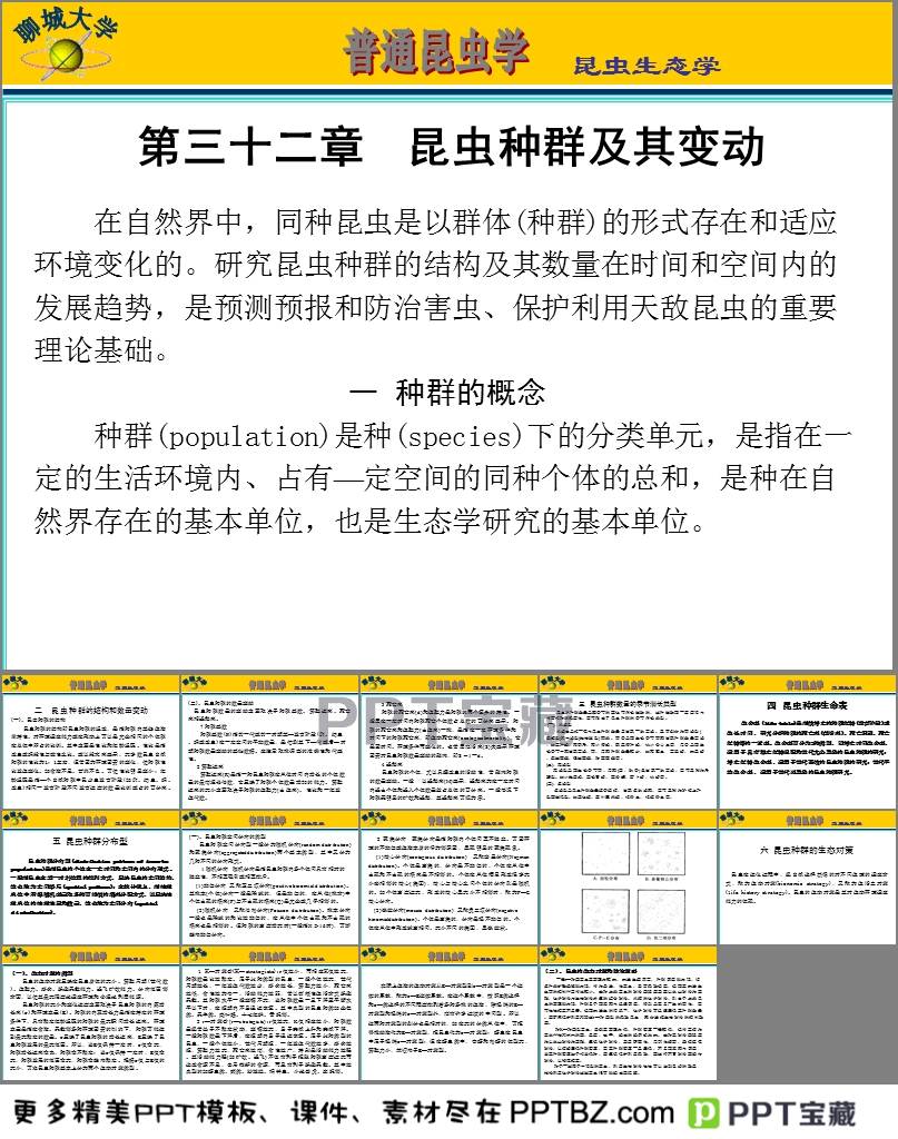 澳门天天开奖记录开奖结果,实践调查说明_BJD55.114生态版