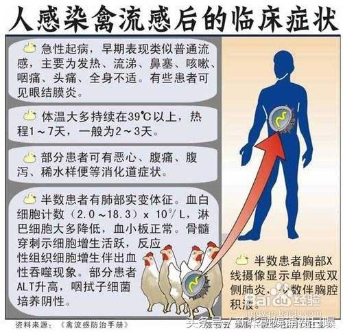 内蒙h7n9最新消息,内蒙H7N9最新消息