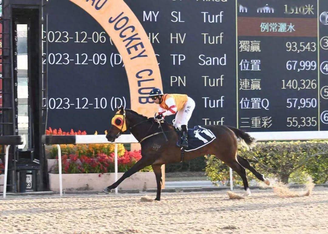 澳门开马场直播,专业数据解释设想_IRE55.402抗菌版