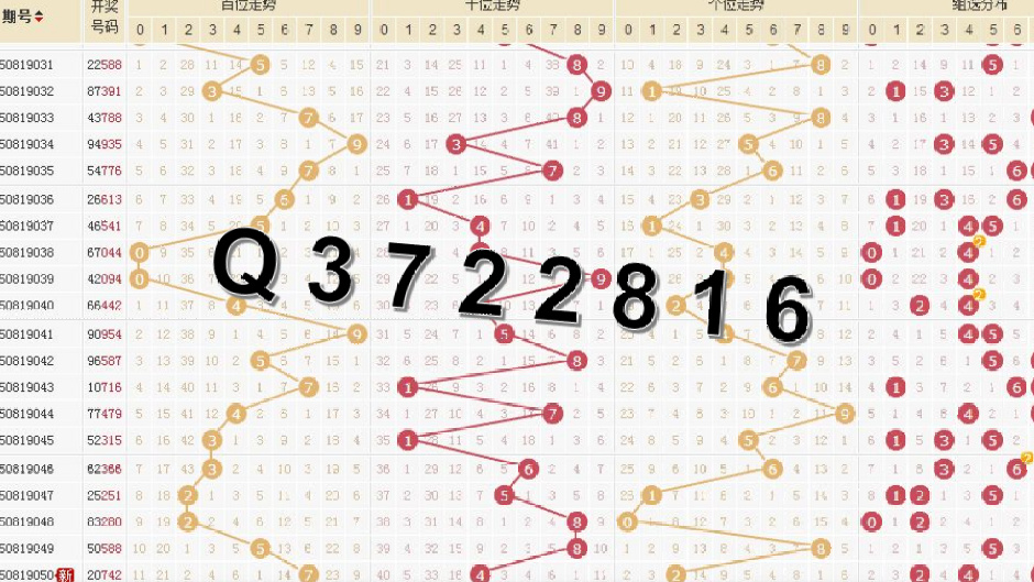 婆家一肖一码100,数据导向程序解析_LTL55.594精致生活版