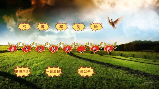 澳门六开奖结果2024开奖记录查询,实证数据分析_VTV55.449传承版