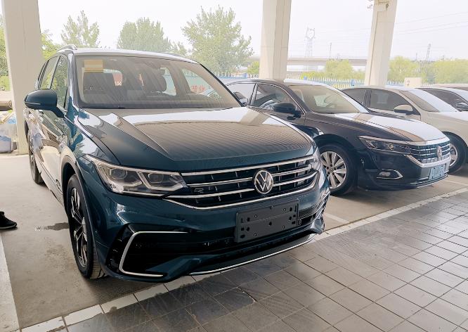 粤港澳大湾区最新进展,粤港澳大湾区最新进展,破浪前行的湾区建设与创新活力