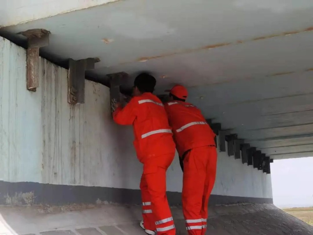 2024新澳门彩生肖走势图,处于迅速响应执行_PEU45.202业界版