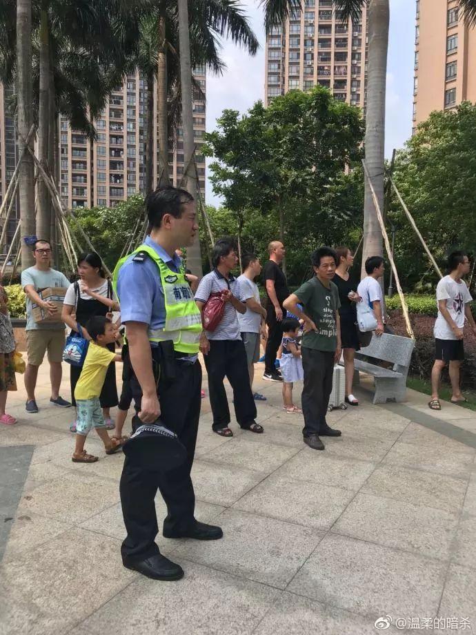 平洲御水岸最新楼价,平洲御水岸最新楼价，市场走势、热门因素及深度解析