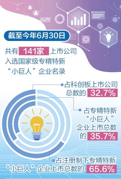 新澳门资料全年免费精准,灵活性执行方案_JYJ45.902超级版