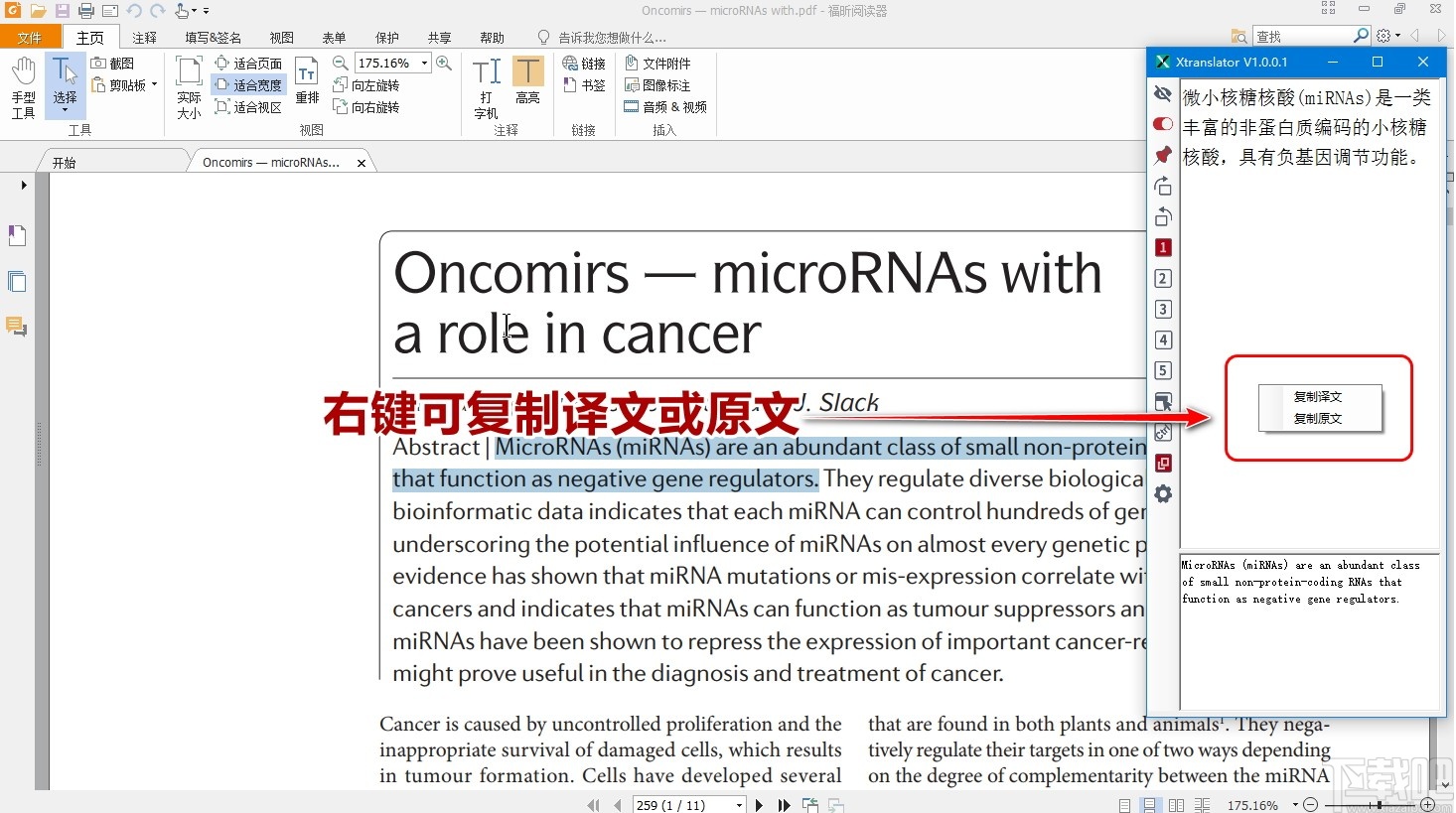 澳门免费资料最准的资料,高效运行支持_AHF45.252生活版