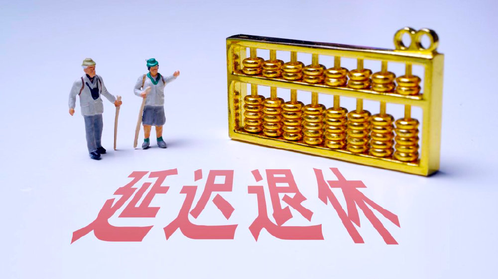 廷迟退休最新政策,廷迟退休最新政策，变化中的机遇与挑战，拥抱学习，自信闪耀人生