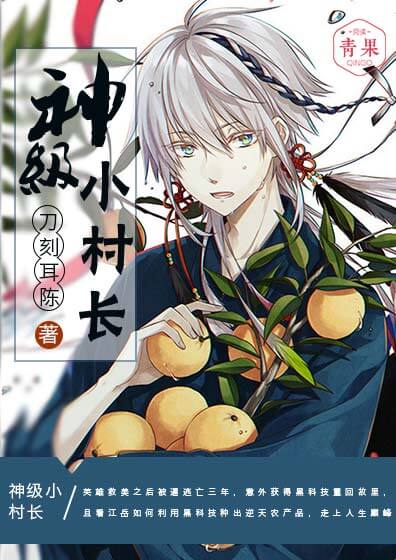 神奇的小村长最新章节,神奇的小村长最新章节，深度解析与观点阐述