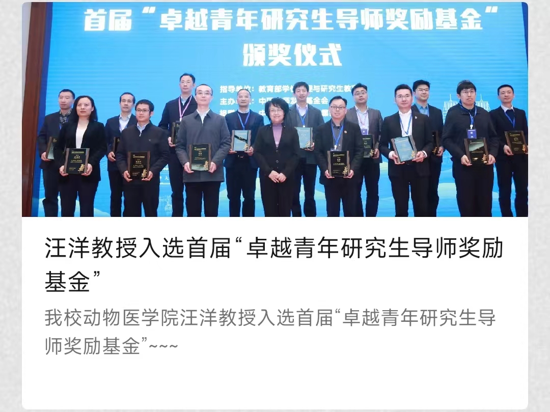 澳门今晚必开一肖,高度协调实施_FDI45.318教育版