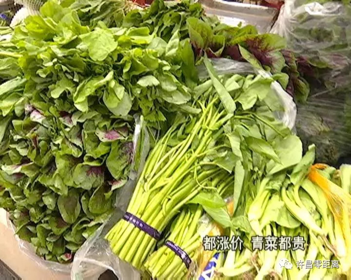 郑州万邦蔬菜最新价格,郑州万邦蔬菜最新价格指南