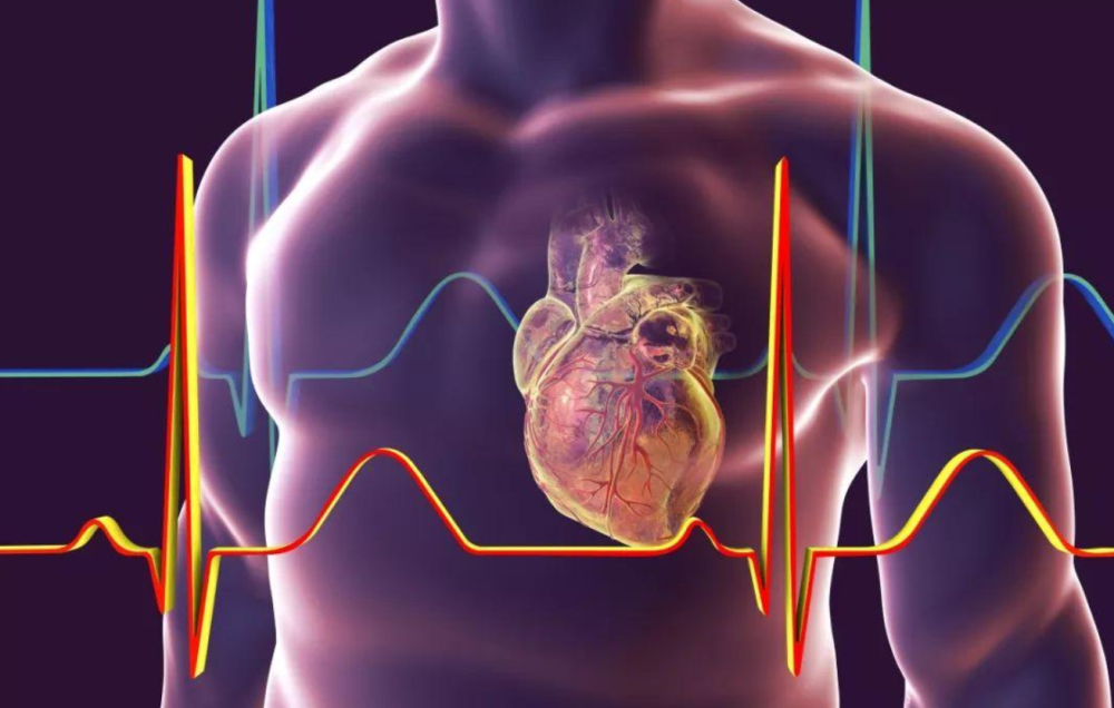 天中图库天中图天中图库087,科学分析解释说明_YQP45.982文化传承版