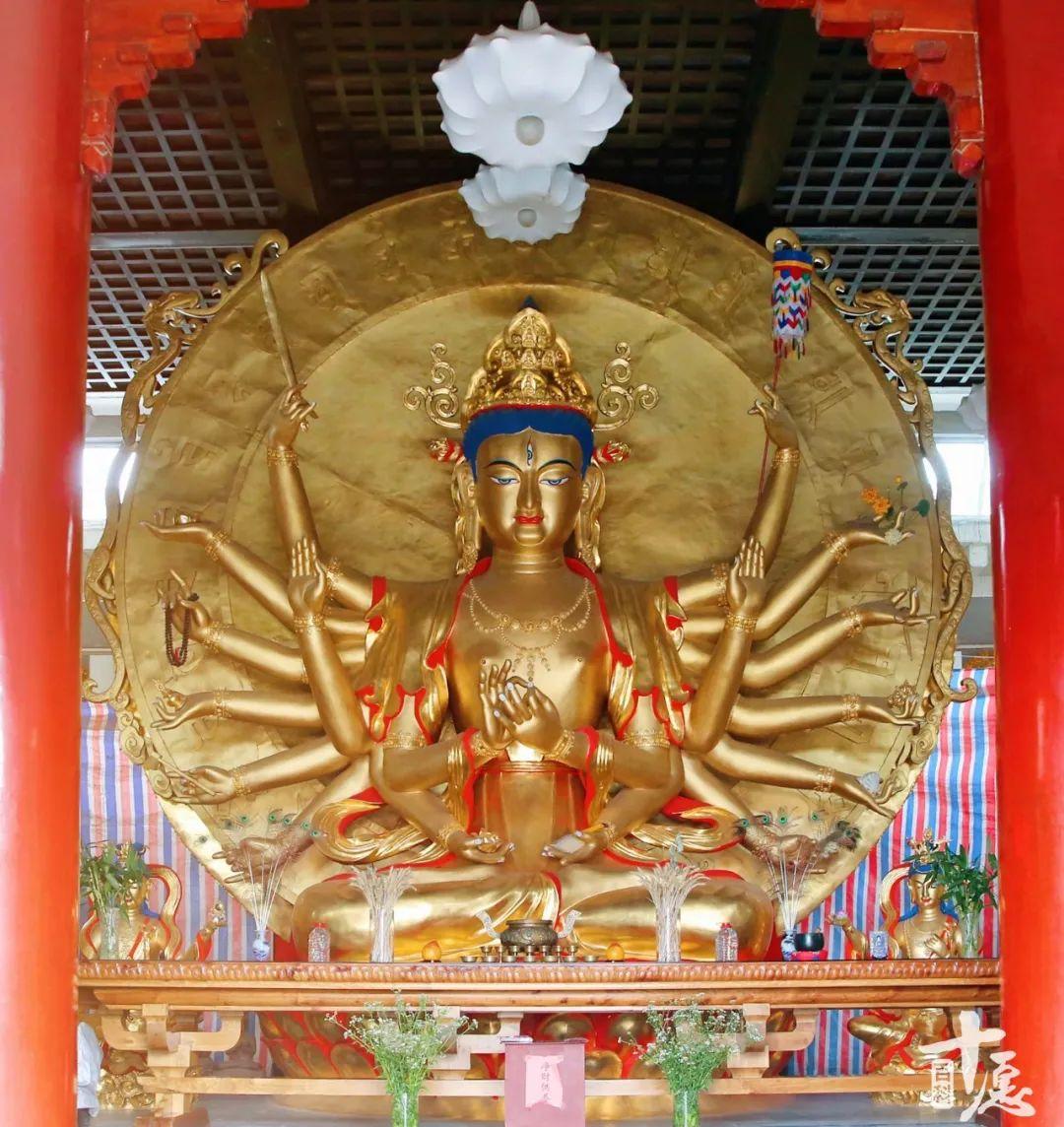 念准提咒的最新感应,念准提咒的最新感应