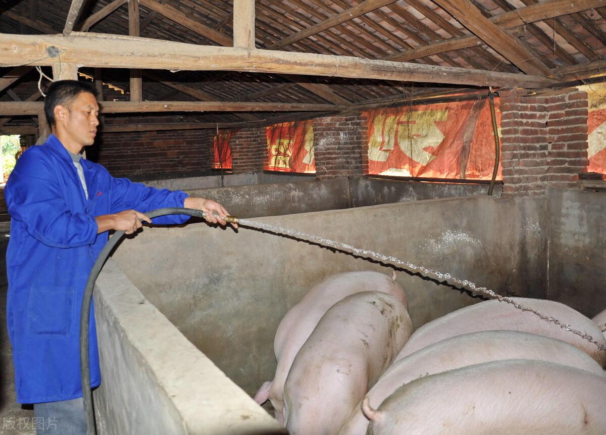 牛比鸡贵最新答法,牛比鸡贵最新答法，从变化中找寻自信与成就感的力量