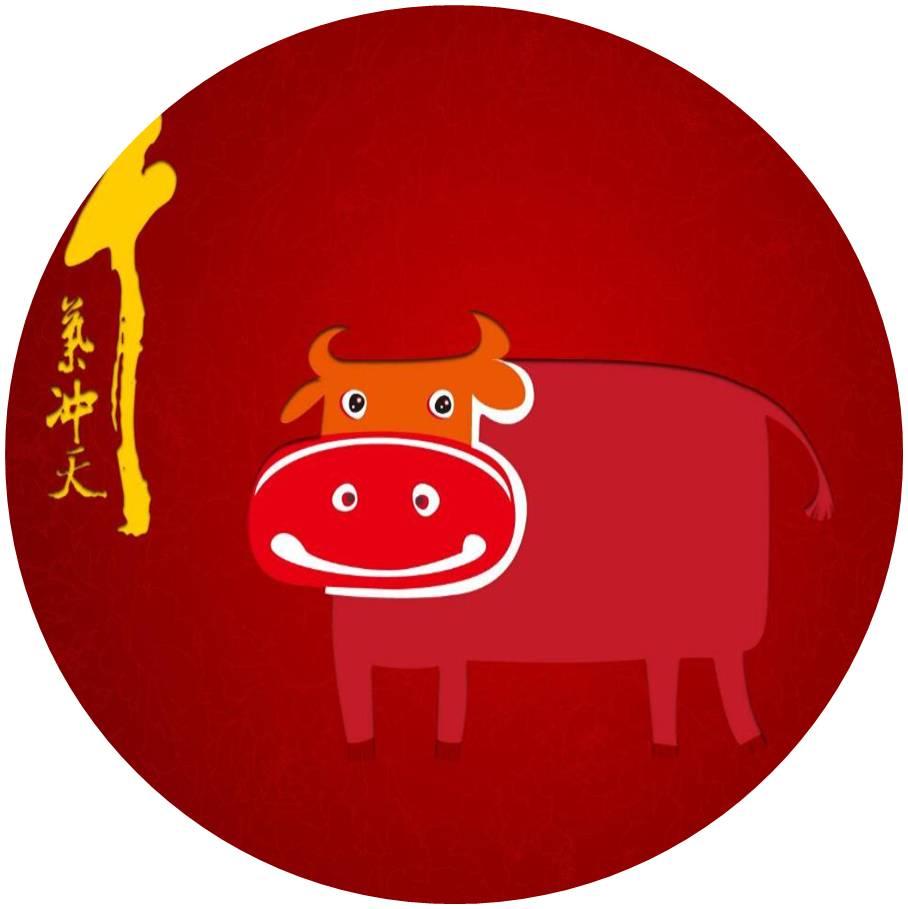 牛比鸡贵最新答法,牛比鸡贵最新答法,从变化中找寻自信与成就感的力量