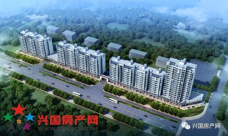 江西兴国县最新房价,江西兴国县最新房价详解，购房全攻略