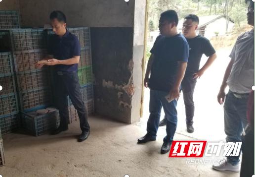 醴陵东富工业园最新闻,醴陵东富工业园的最新动态与前景展望