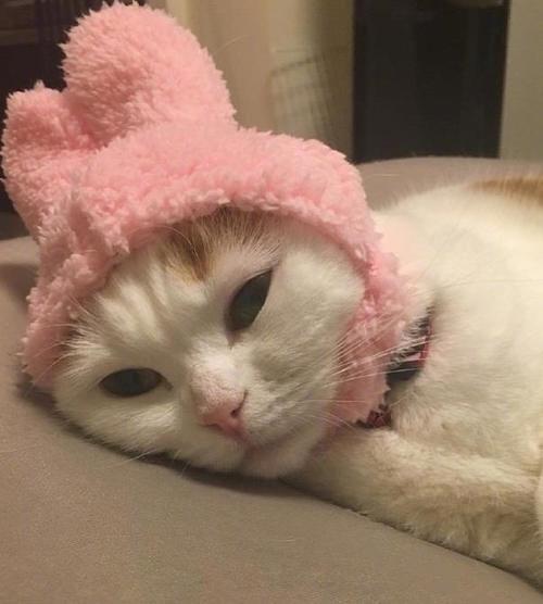 上街贴吧最新招聘信息,上街贴吧最新招聘信息