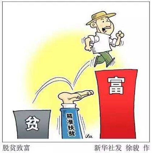 新澳精准资料免费大全,社会承担实践战略_AKR27.953优雅版