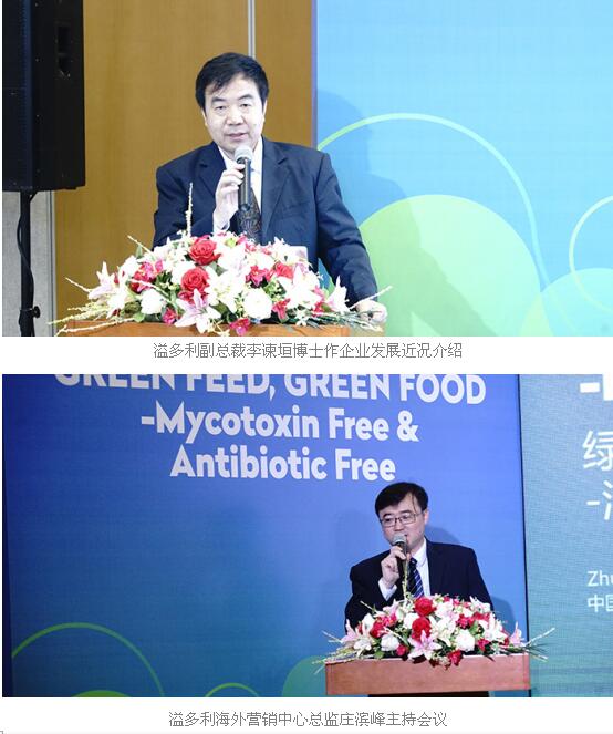 300381溢多利最新消息,溢多利的新篇章，一场爱与陪伴的日常故事