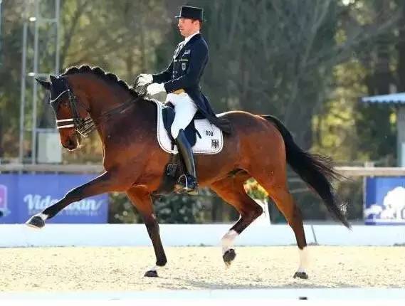 香港特马最正确免费资料,灵活性执行方案_MGX27.940交互版