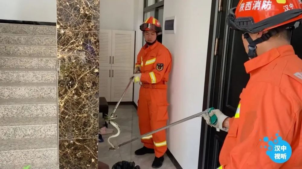 军人涨薪最新消息官网,安全保障措施_XAD27.795品牌版