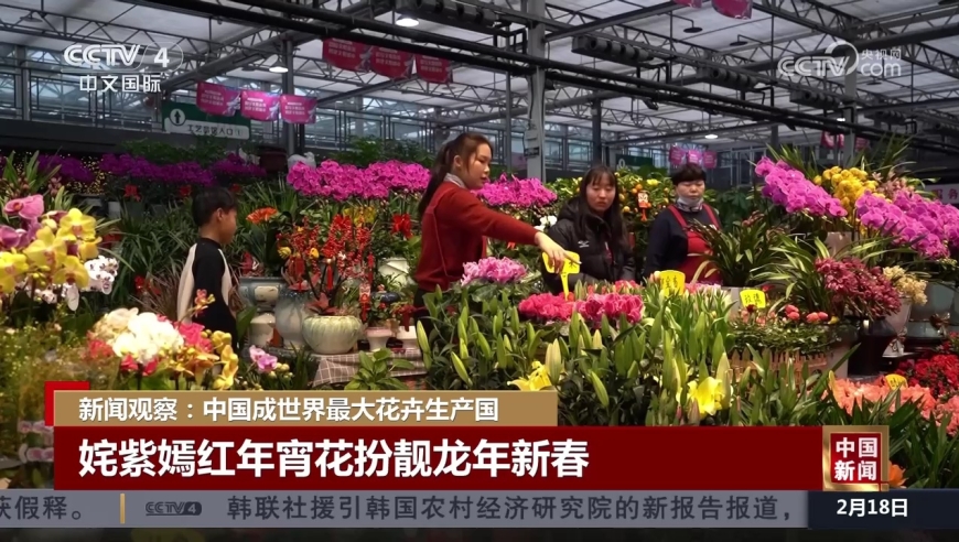 2024澳门濠江论坛,详细数据解读_WIN27.912探索版