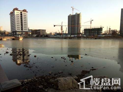 沧州禧福荷堂最新动态,沧州禧福荷堂最新动态指南