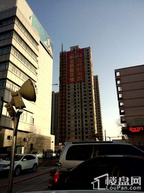 沧州禧福荷堂最新动态,沧州禧福荷堂最新动态指南