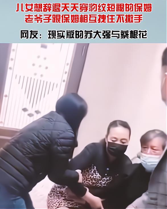 保定保姆招聘最新消息,保定保姆招聘最新消息——家的温暖,从寻找开始