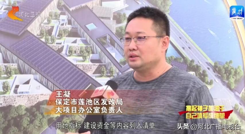 保定保姆招聘最新消息,保定保姆招聘最新消息——家的温暖,从寻找开始