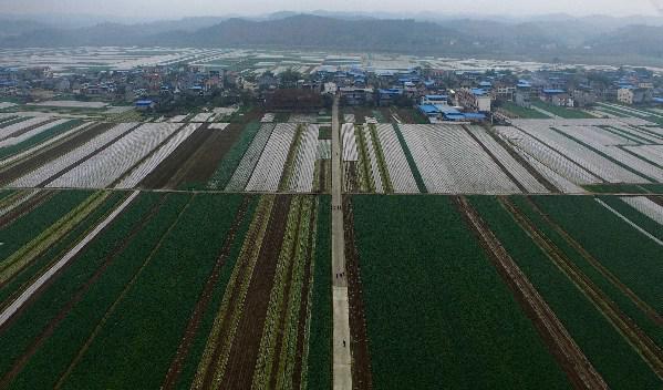 潼南上和镇最新规划,潼南上和镇最新规划