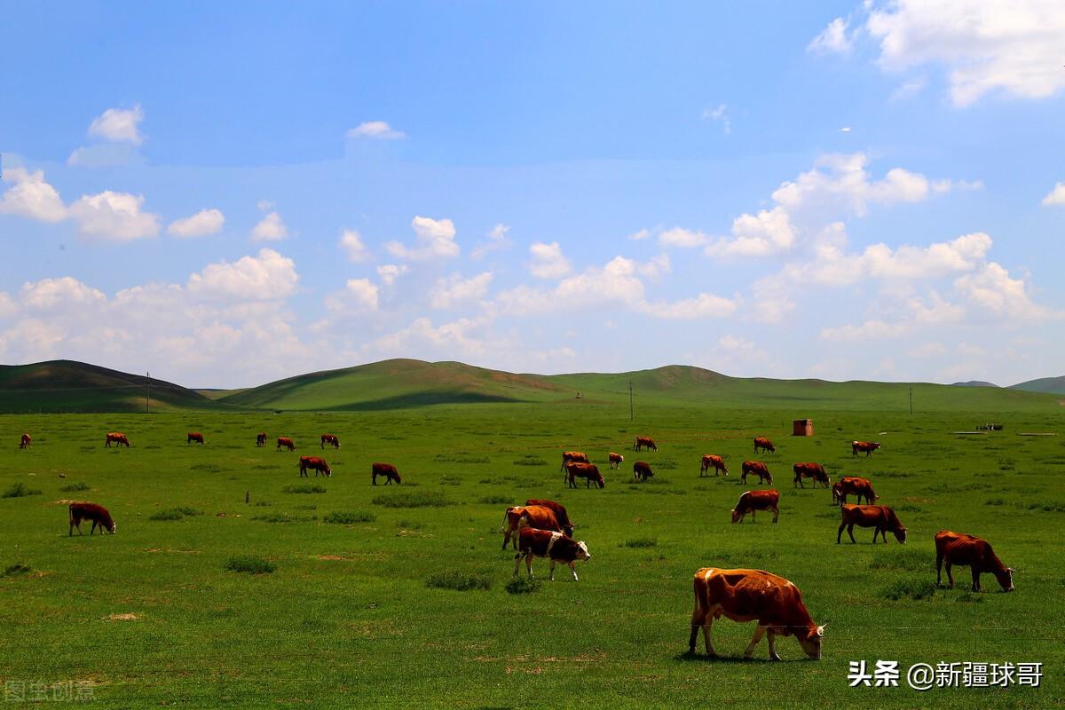 新疆城建股票最新消息,新疆城建股票最新消息