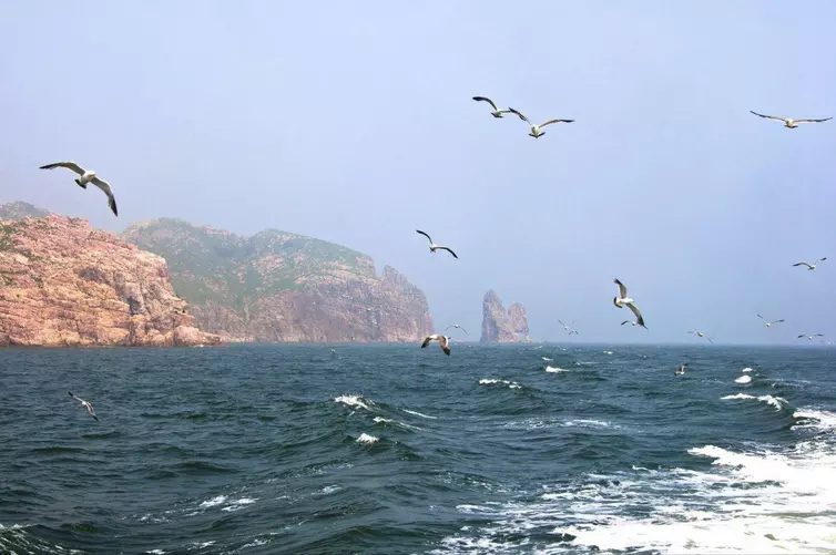 牛背山最新天气预报,牛背山最新天气预报,气象多变,如何应对?