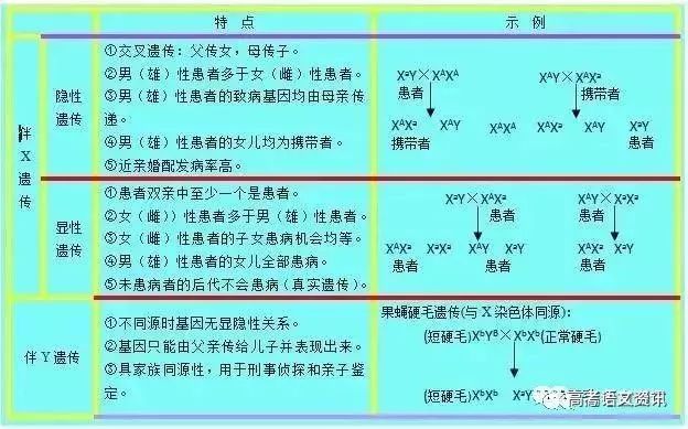 2024澳门特马今晚开奖结果出来了,担保计划执行法策略_EJO27.924妹妹版