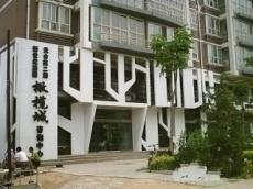 邢台橄榄城最新消息,邢台橄榄城最新消息——邻里间的温情日常