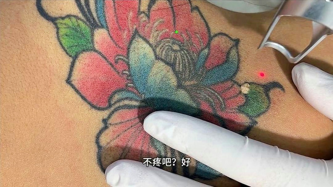 最新款女背部纹身图腾,最新款女背部纹身图腾，一场自然美景的探索之旅