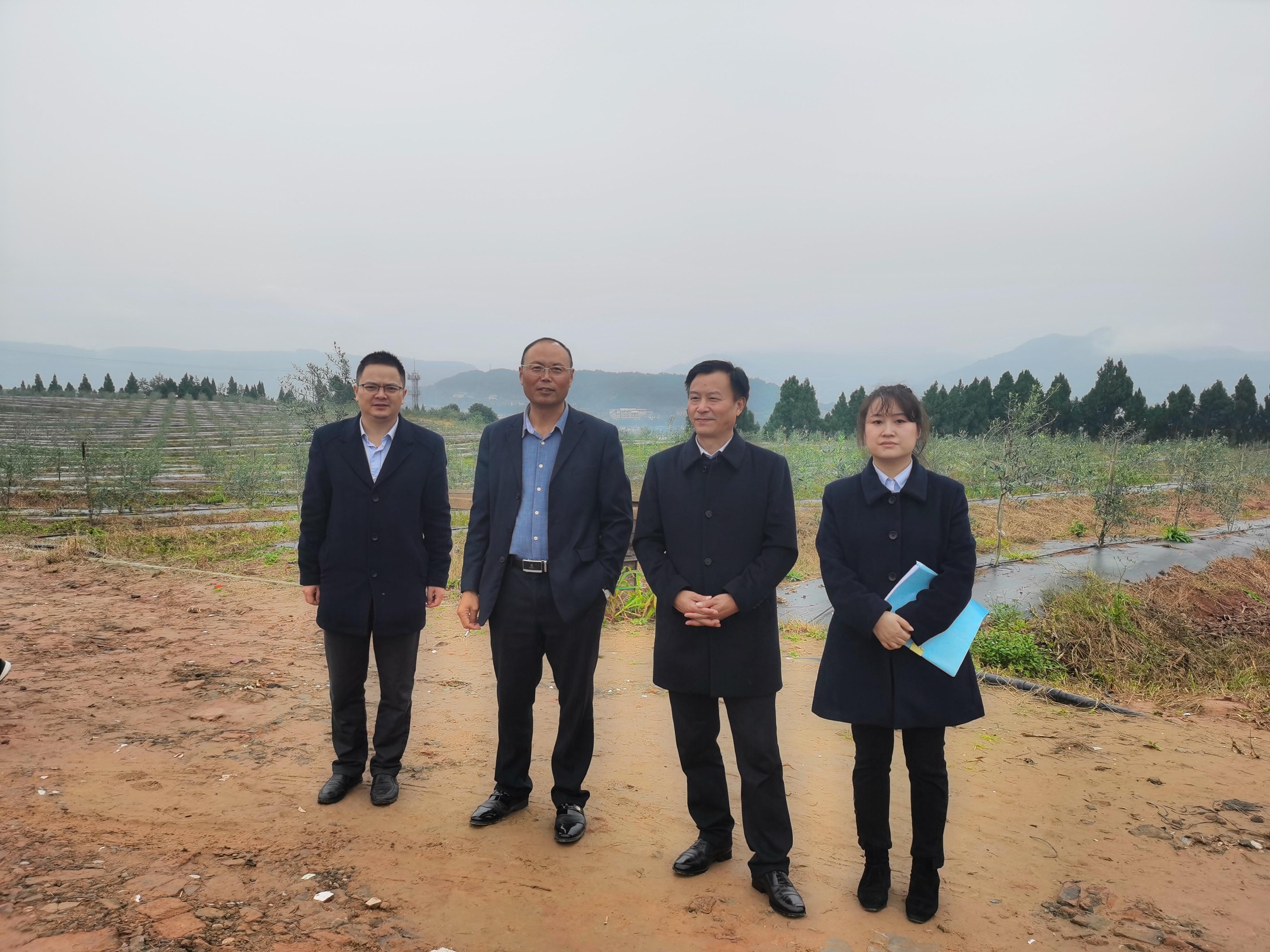 邮储手机银行最新版,邮储手机银行最新版，与大自然共舞，探索内心的宁静之旅