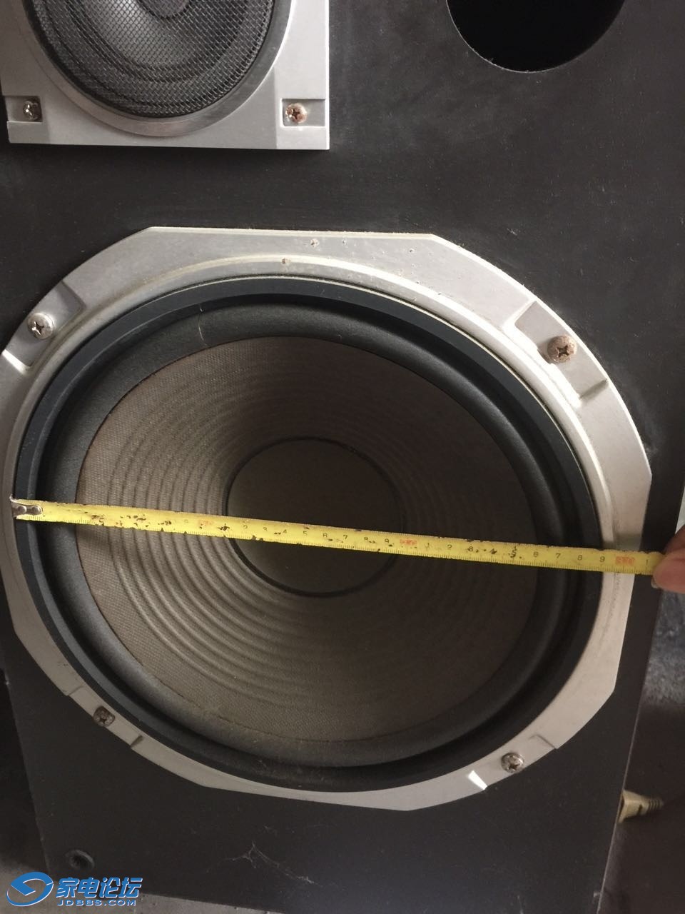 最新低音,最新低音,一场感官盛宴的探讨