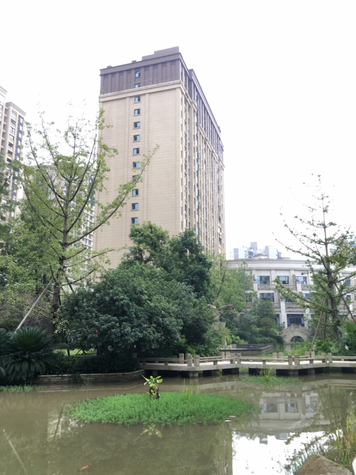 鸥鹏泊雅湾最新资讯,温馨家园，鸥鹏泊雅湾的最新故事